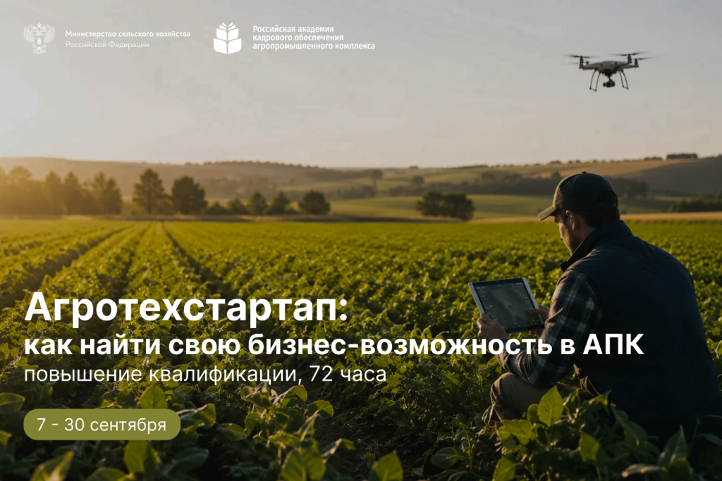 Без названия.png